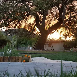 https://il-leccione.it-tuscanyhotel.com
